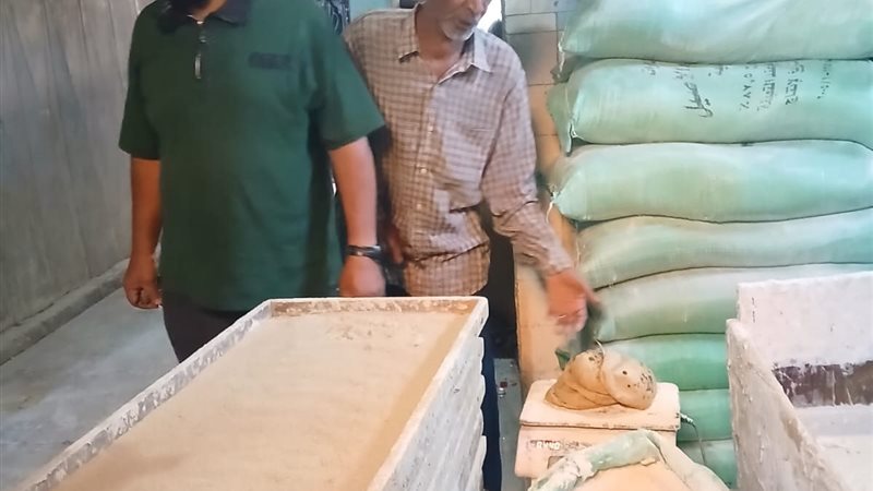 جانب من الحملة