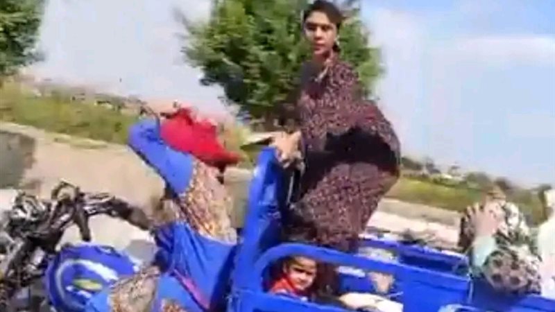 سرقة محصول الأرز