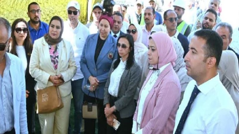 محافظ البحيرة 