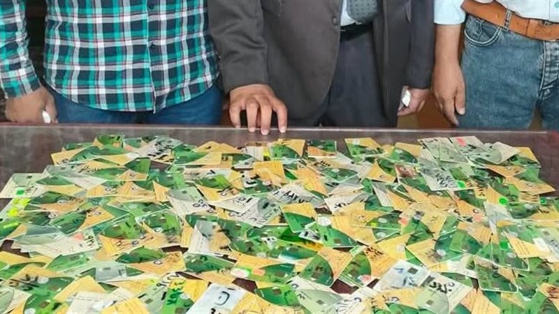 خلال الحملة 