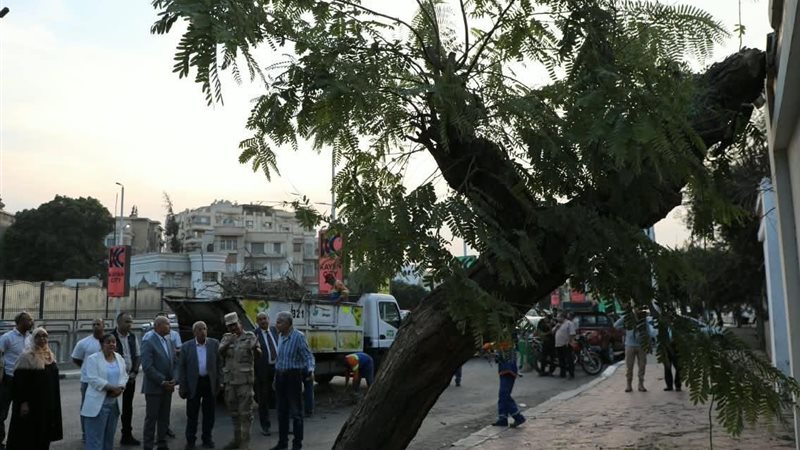 وزارة التنمية المحلية