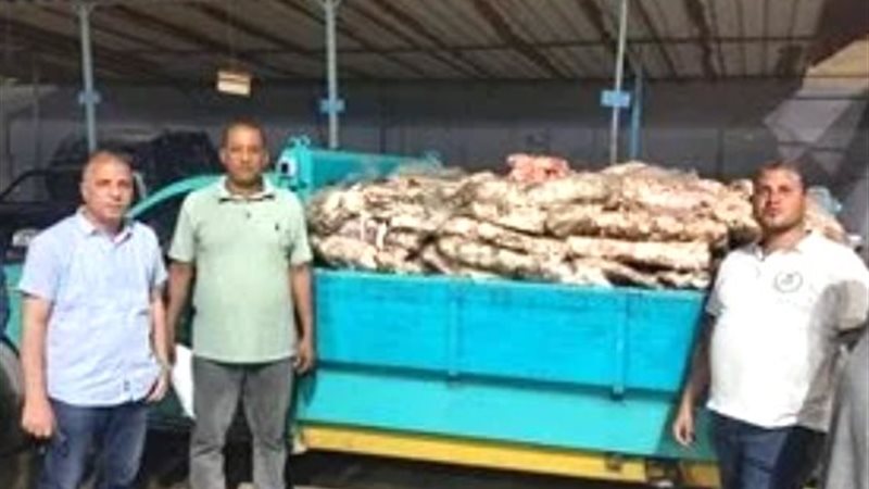 المضبوطات 