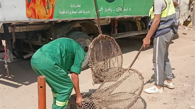 حملة علي الكلاب 