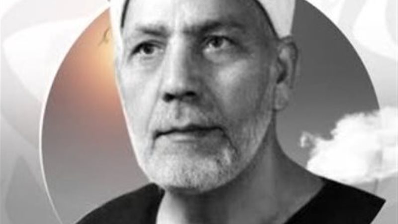 الشيخ محمد محمد الصيفي