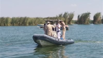 80 محضرًا وإزالة 3 عشش.. حملة موسعة لضبط مخالفات الصيد بمحمية وادي الريان