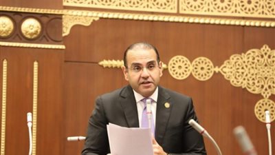 «مرصد إلكتروني».. مقترحات برلمانية لمواجهة السلع مجهولة المصدر 