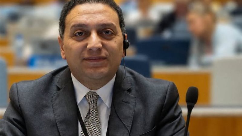 أكد المستشار محمد