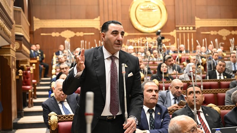  النائب الدكتور السعيد