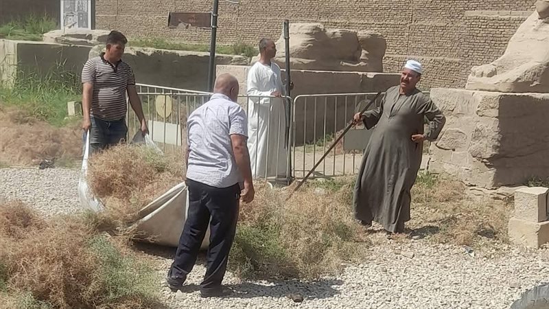لحظة أعمال الحشائش