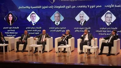 وزير الطيران المدني: نعمل على تعزيز قدرات الشركات  الوطنية وتوسيع شبكة الربط الجوي