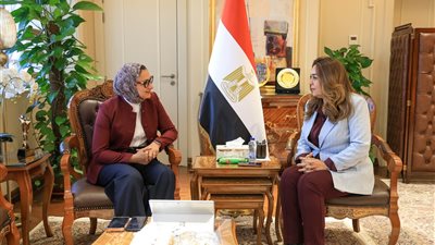 321 مشروعًا بـ«حياة كريمة».. تفاصيل اجتماع وزيرة التنمية المحلية ومحافظ الوادي الجديد