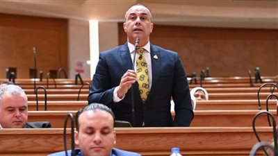 برلماني: تأجيل «الإجراءات الجنائية» خطوة مهمة لاستكمال الاستعدادات وضمان التطبيق السليم للقانون