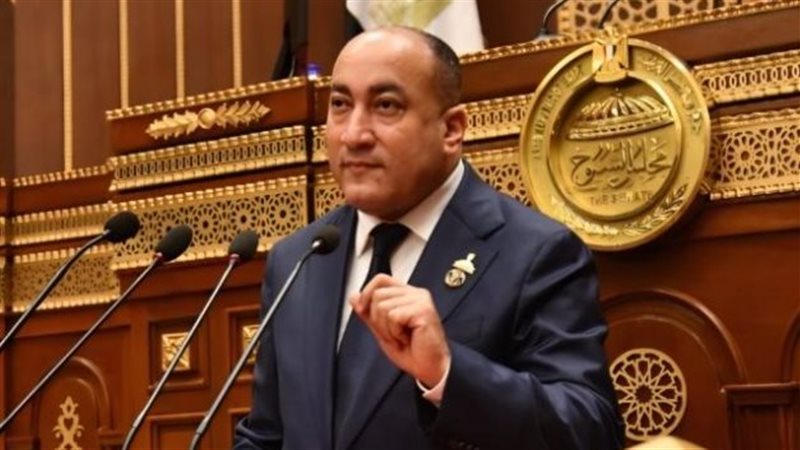  النائب عمرو رشاد