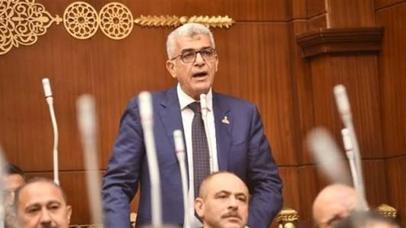  النائب محمد سلامة