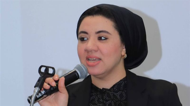 النائبة أميرة صابر