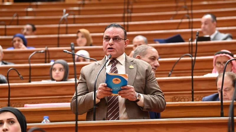 النائب مختار همام