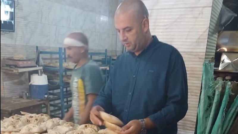 تموين المنيا