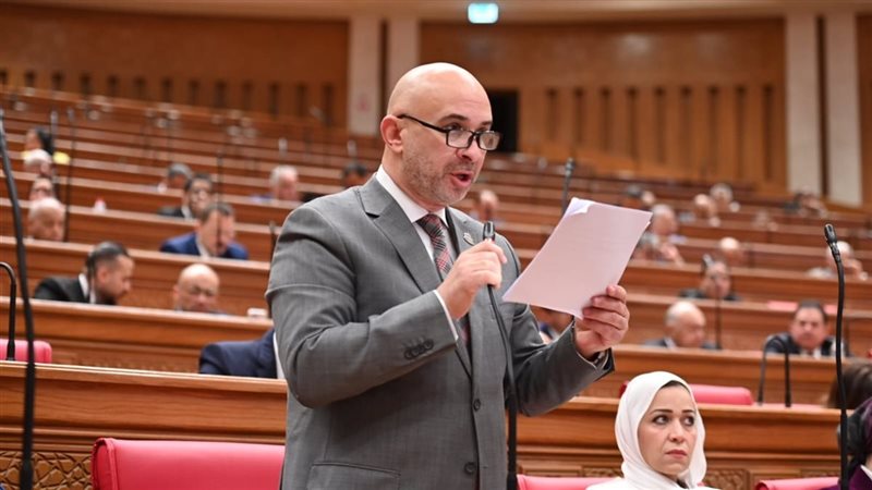 النائب طارق الطويل