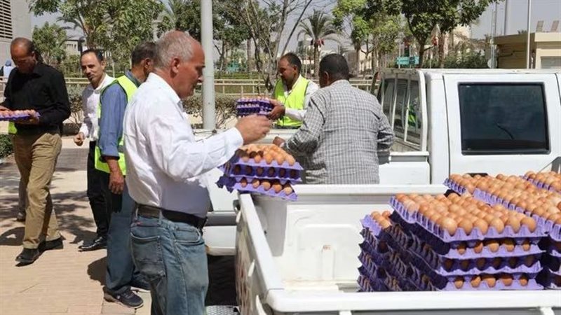 وزارة الزراعة 