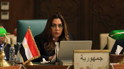 من التصحر إلى التغيرات المناخية.. منال عوض تستعرض رؤية مصر لتعزيز التعاون العربي