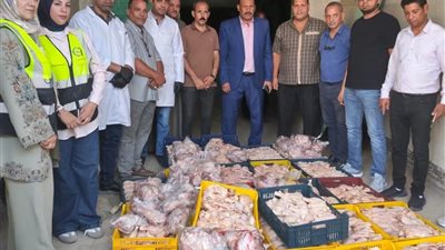 خلال 9 أشهر.. ضبط وإعدام 1791.2 كجم من اللحوم والمنتجات المخالفة بسوهاج