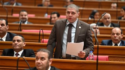 النائب أحمد جبيلي: تمويل مستدام وشراكات جديدة لفتح آفاق التنمية في إفريقيا