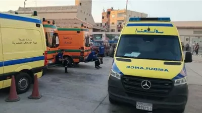 مصرع طفل إثر تعرضه لحادث سيارة بقرية بندار الغربية في جرجا 
