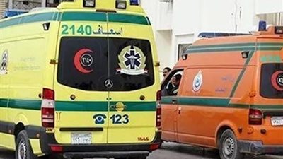 إصابة 3 سيدات من أسرة واحدة بتسمم غذائي عقب تناول وجبة فسيخ في البحيرة