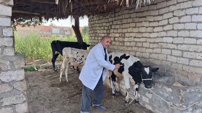 بيطري المنيا