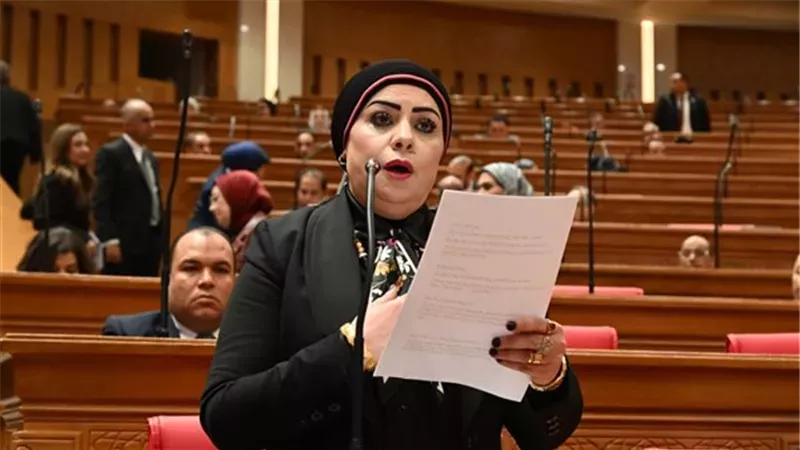النائبة جيهان شاهين،