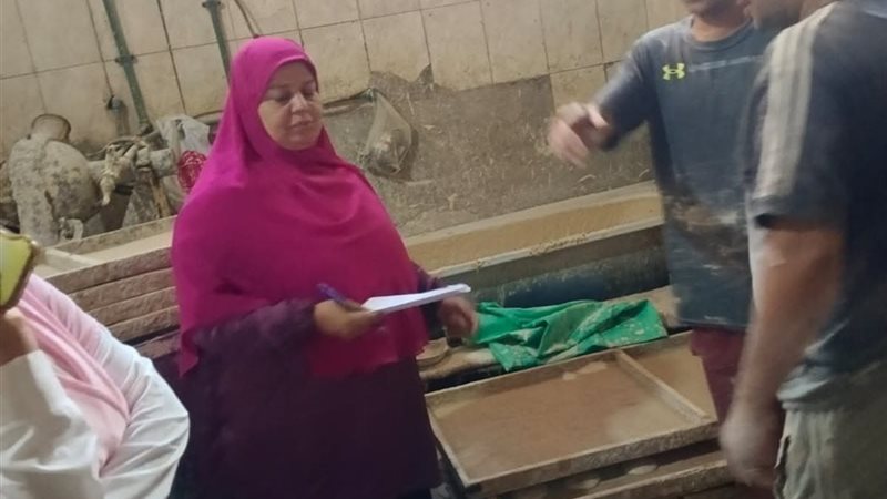أثناء الحملة 