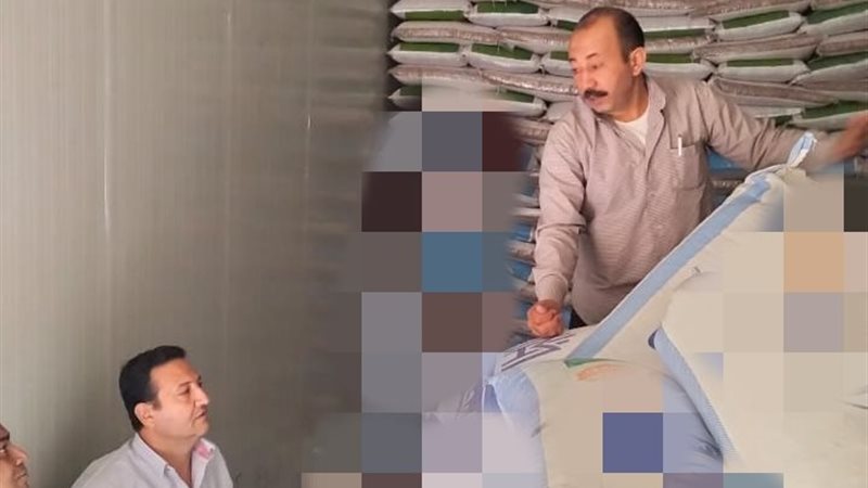 الحملات