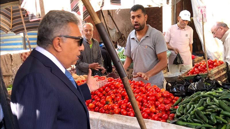 محافظ الدقهلية