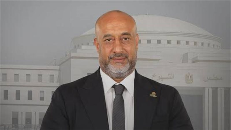 النائب حسام سعيد