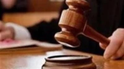 بعد المؤبد.. تخفيف عقوبة سائق تعدى على طفلة بالبحيرة إلى 10 سنوات وتغريمه مليون جنيه