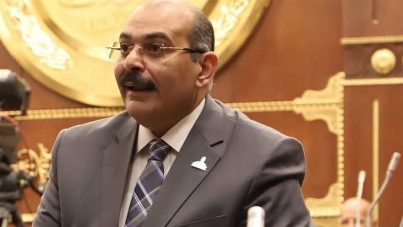  النائب الدكتور محمود