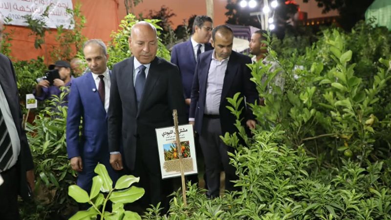محافظ القاهرة 