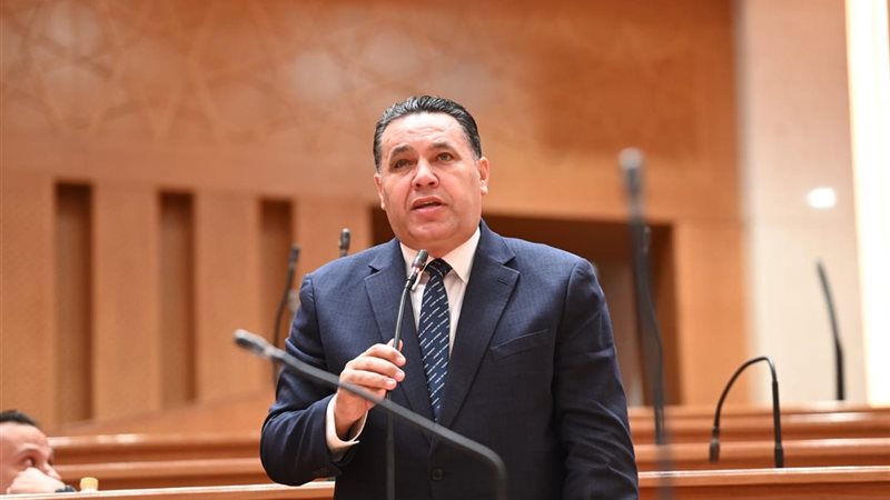 النائب عماد الغنيمي،