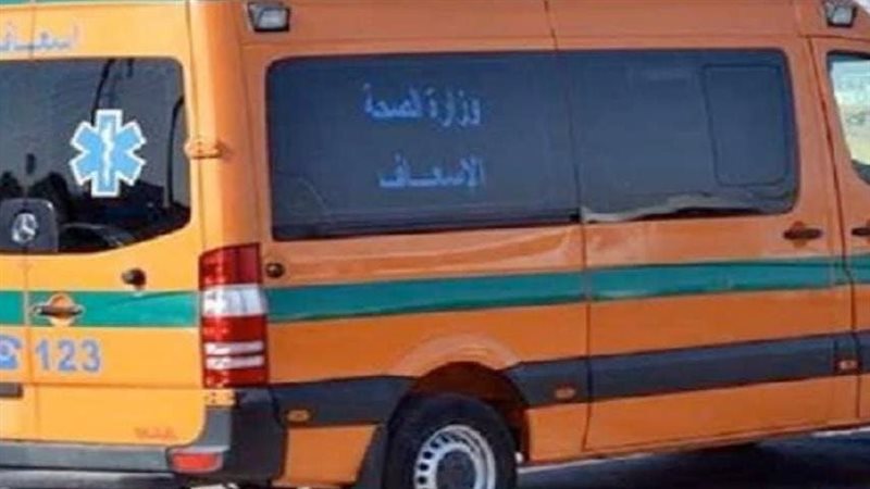 ارشيفية