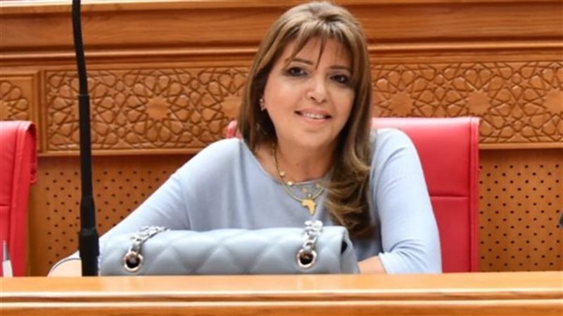 النائبة داليا السعدني