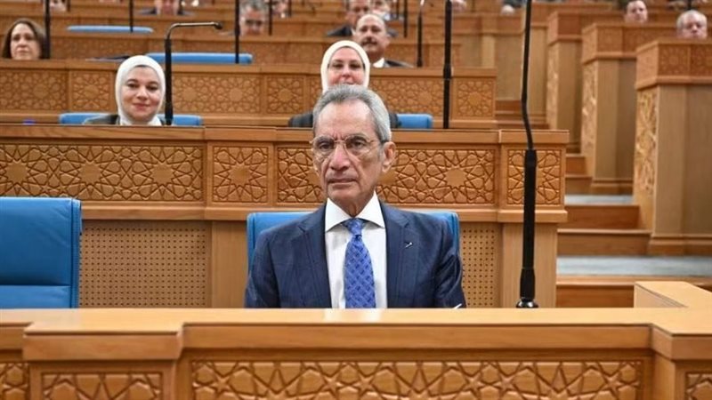 المستشار هاني حنا،
