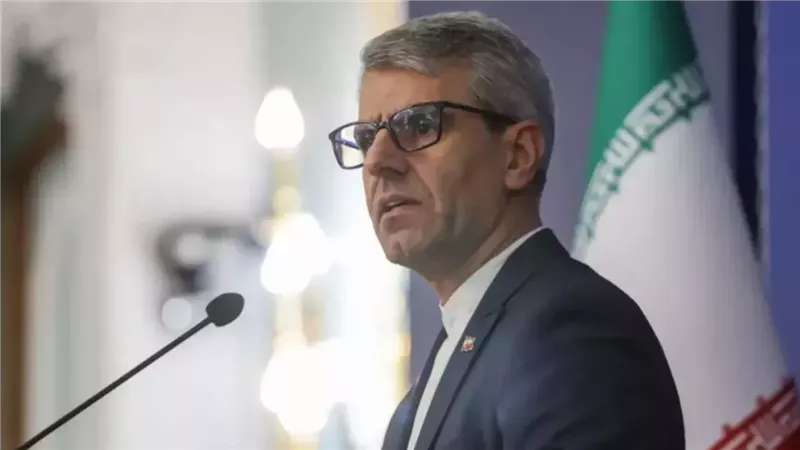 المتحدث باسم وزارة الخارجية الإيرانية إسماعيل بقائي