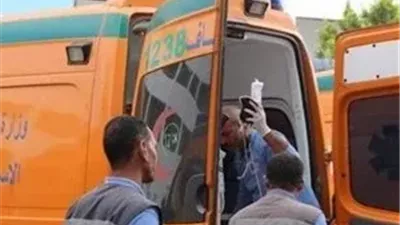 مصرع فتاة مجهولة الهوية 15 عامًا صعقًا بالكهرباء في نجع العرب بالأقصر