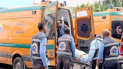 5 وفيات في تصادم أتوبيس وتوك توك على طريق جمصة المنصورة بالدقهلية