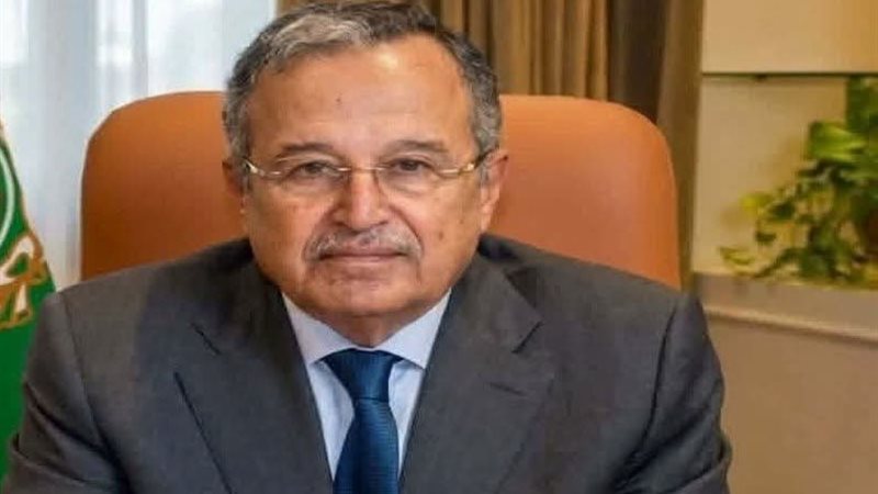 نبيل فهمي، الأمين