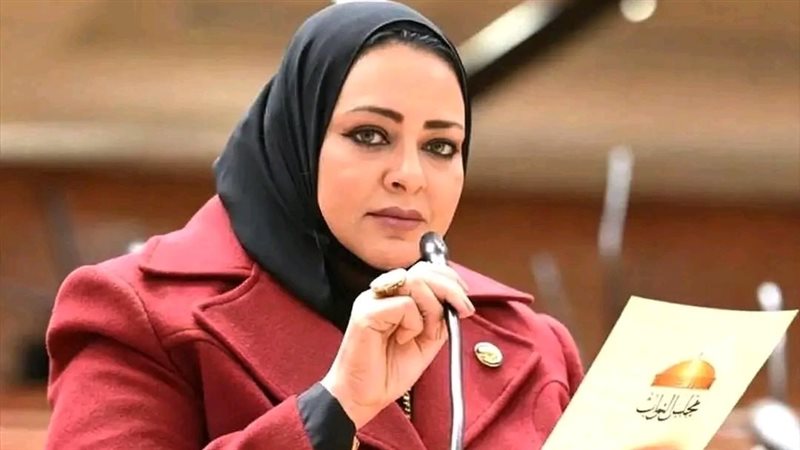 النائبة أماني أبو