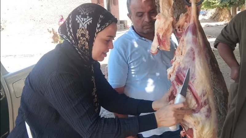 تموين المنيا