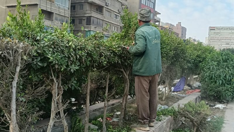 محافظة الجيزة 