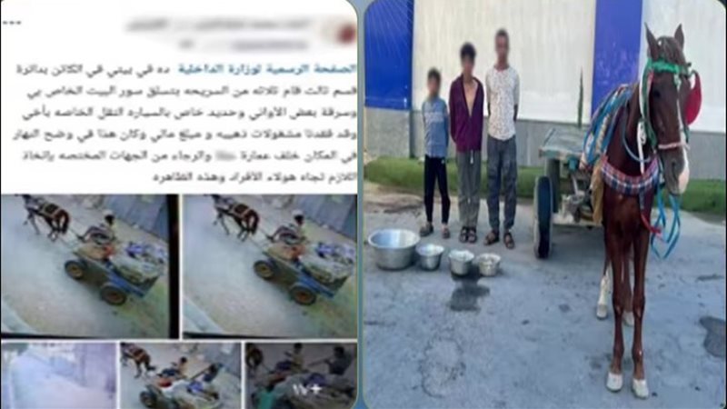 المتهمين والواقعة