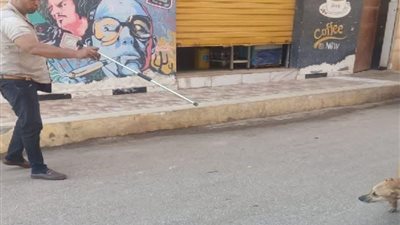 تحصين 25 كلبًا ضالًا بدمنهور اليوم.. «بيطري البحيرة» يرفع إجمالي التحصينات إلى 4533 كلبًا خلال 2026